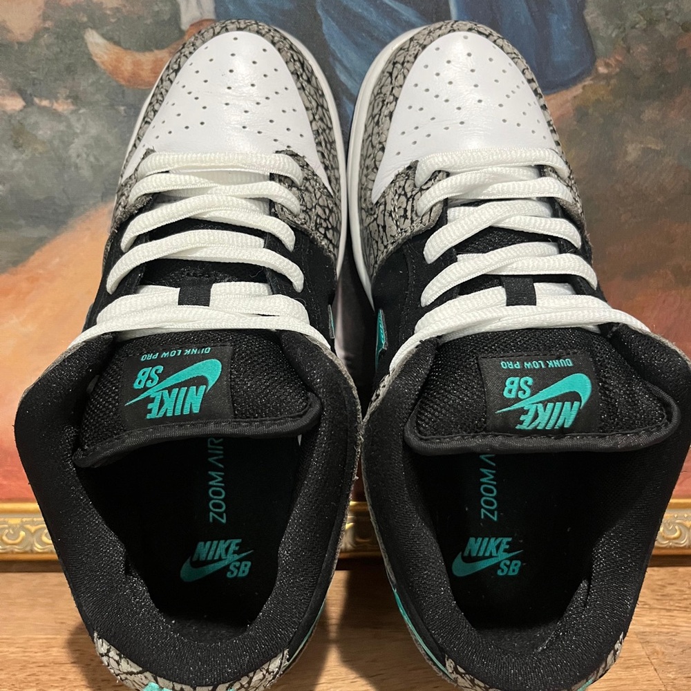 Nike SB Dunk Low Pro White Black with Teal Accents